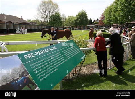 bet365 horses betting|Horse Racing Meetings .